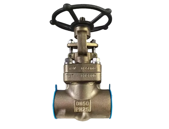 Gate valves